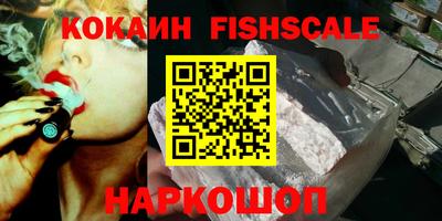 дмт Кингисепп
