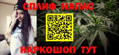 крисы Кимры