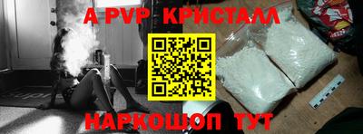 дмт Кингисепп