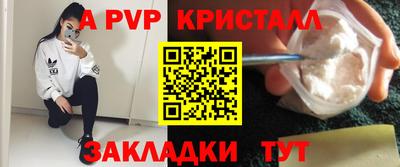дмт Кингисепп