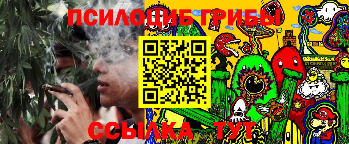 Псилоцибиновые грибы мухоморы Зеленогорск